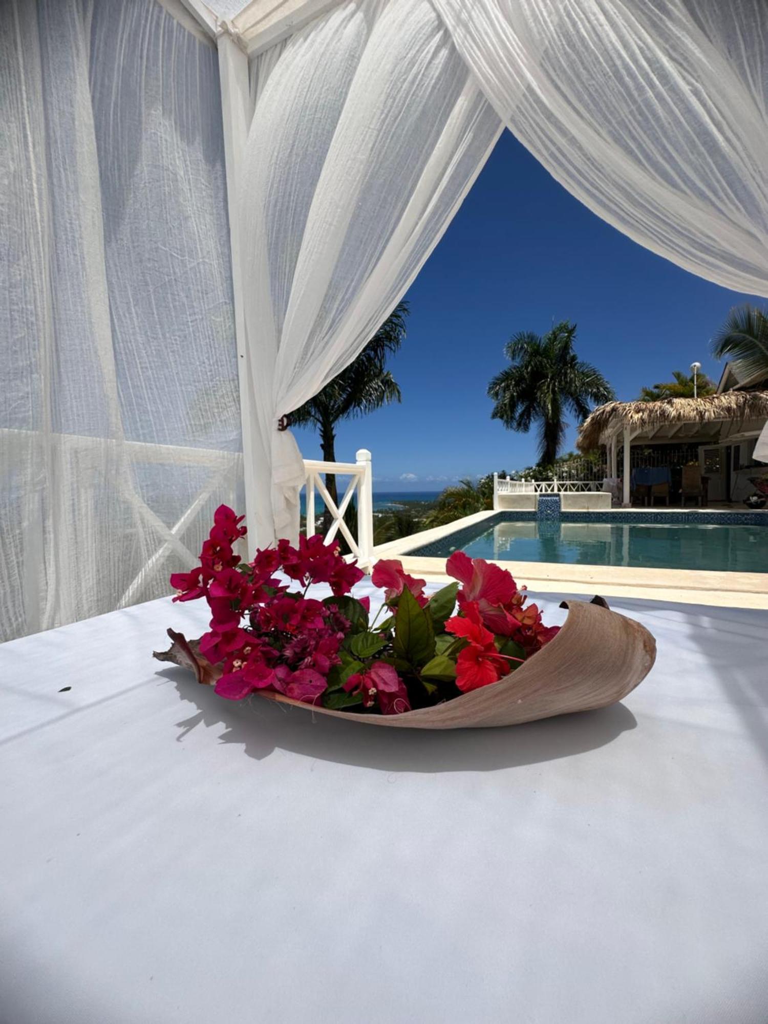 Villa Blanca Chambre D'Hotes Vue Sur Mer Las Terrenas Dış mekan fotoğraf