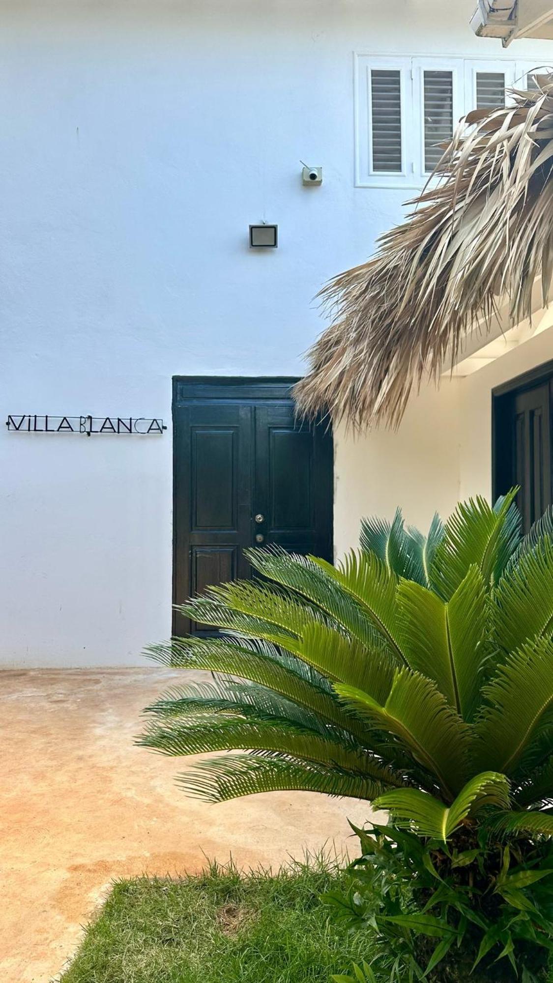 Villa Blanca Chambre D'Hotes Vue Sur Mer Las Terrenas Dış mekan fotoğraf